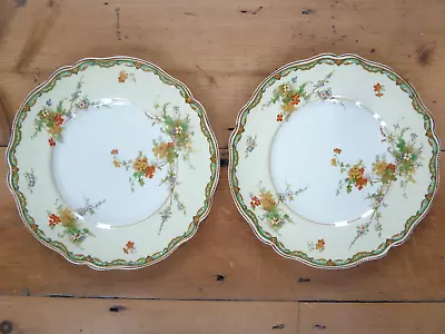 Buy Johnson Bros Old Staffordshire 'Ningpo' China Plates X 2 9 Inch Vintage Preowned • 12£