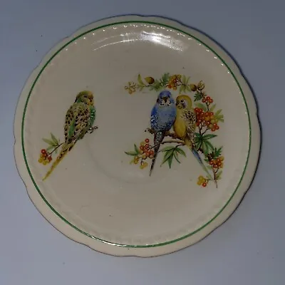 Buy Vintage Swinnertons Majestic Vellum Blue Green Yellow Parakeets 4.5” ￼￼Saucer • 28.94£