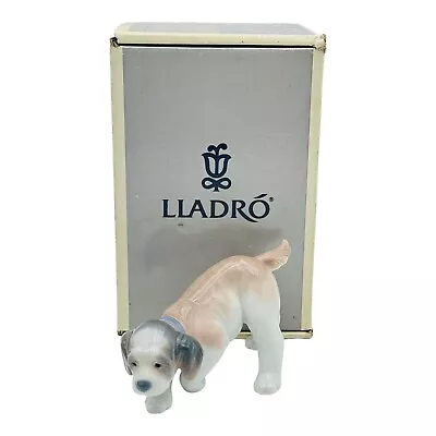 Buy Lladro Sad Beagle Puppy Dog Figurine 6  Long Gray & White Porcelain RARE • 237.13£