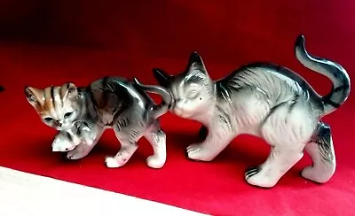 Buy Bone China Porcelain Cat's Family Figurines Cats Animals Collection • 11£