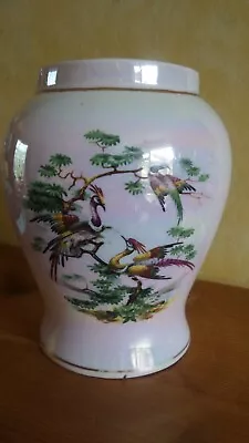Buy Vintage Sadler Lustre Ginger Jar. With Exotic Birds. Alas No Lid. • 12.99£