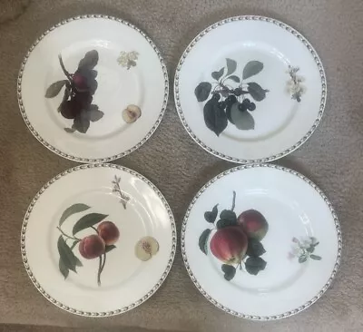 Buy Queen's Fine Bone China Royal Horticulture Soc.  Hookers Fruit  4 Dinner Plates • 23.67£