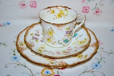 Buy Extremely Rare 1890C Foley Shape Wileman Shelley China Tea Trio Cup Plate # 6744 • 85£