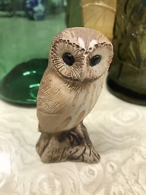 Buy Purbeck Pottery Tawny Owl - Signed • 5£