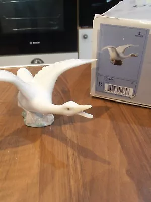Buy Lladro Boxed Figurine No 1264 Flying Duck • 15.99£