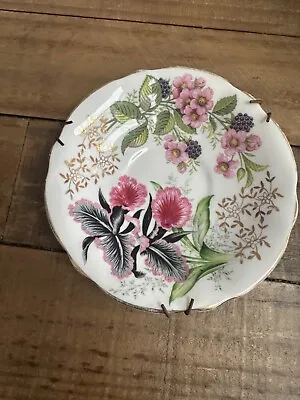 Buy Queen Anne Fine Bone China Saucer Pink And Black Flowers • 4.99£