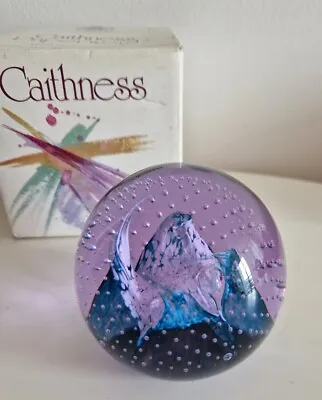 Buy CAITHNESS Glass Cauldron PAPERWEIGHT (purple/blue) With The Box Scotland • 15£