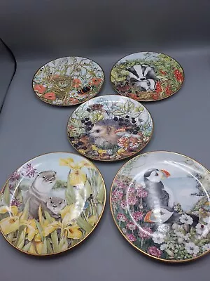 Buy Royal Kendal Fine Bone China Wildlife Of English Countryside Plates ×5 U10S4 • 24.99£