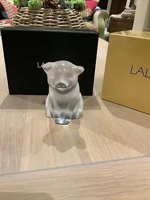 Buy Lalique Cochon Pig Sculpture 2019 Year Of The Clear  10647800 New Boxed • 250£