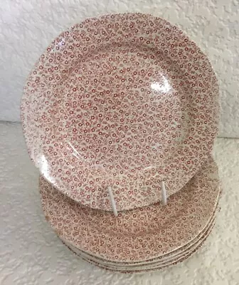 Buy Vintage Burleigh Ware Felicity Dinner Plate X 7 Red & White 24.5cm Plates • 25£