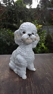 Buy RARE Vintage White Large SylvaC Pottery Poodle Dog  Figure No 5031 • 39.99£