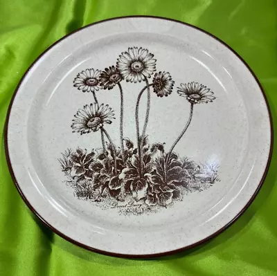 Buy Vintage Noritake Stoneware Desert Flowers 8341 Salad Plate 8-1/4” Japan • 14.23£