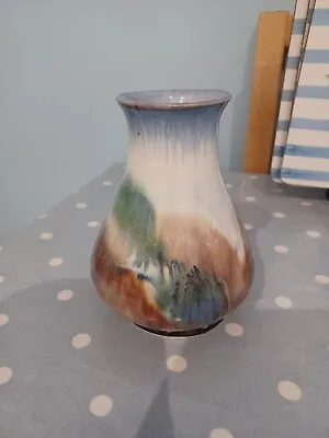 Buy Andrew Bristow Signed Vase • 9.50£