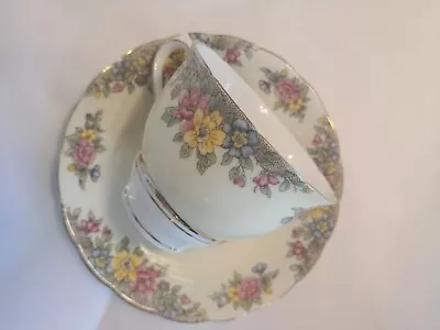 Buy Vintage Colclough Bone China Rare Pattern Footed Cup & Saucer Set 6461  • 17.26£