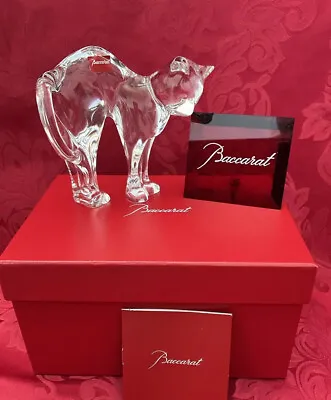 Buy NIB FLAWLESS Unique BACCARAT France Glass POUNCER ARCHED BACK Crystal CAT Figure • 288.16£