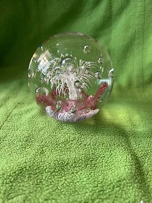 Buy Very Large Vintage Glass Paperweight • 20£