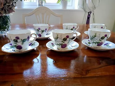 Buy Duchess Bone China Thistle 'Highland Beauty' 6 Cups And Saucers Set • 15£