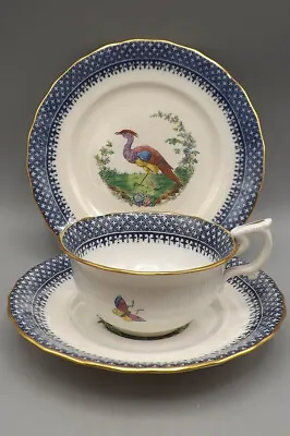Buy Antique Copeland Spode China Exotic Birds & Butterflies & Insects Trio (#3) • 15£