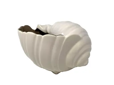 Buy Poole Pottery Conch Shell Large Cream Brown Vase Ornament W 22cm H 15cm • 9.99£
