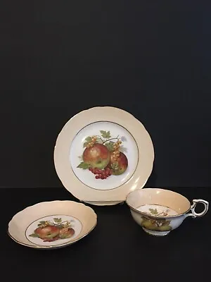Buy Vintage Hammersley And Co., Bone China, Cup, Saucer And Plate~FRUIT~pattern • 47.42£