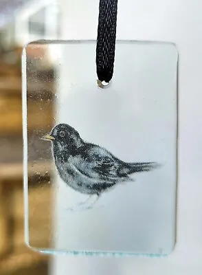 Buy Suncatcher Blackbird Stained Glass Stain Glass Gift Decoration Window Birds • 18£