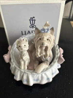Buy **Lladro   Our Cozy Home  6469. Yorkshire Terriers With Box • 19.99£