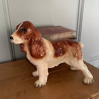 Buy Large Vintage China Ceramic Springer Spaniel Dog Ornament • 15£