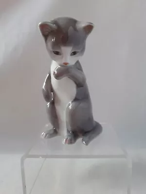 Buy Rare Royal Copenhagen Kitten Standing Ref 516 Dated 1990-1994 • 25£