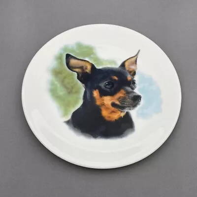 Buy Chihuahua 8” Collectors Plate English Fine Bone China • 4.95£