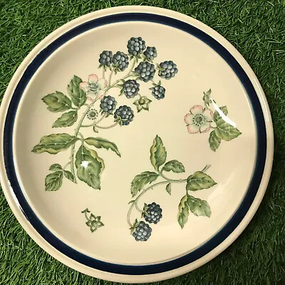 Buy Wedgwood Replacement Bramble Luncheon / Salad / Starter Plate  9  22 Cms • 7.50£