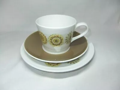 Buy Royal Tuscan Tea Trio - Teacup Saucer Side Plate Seasons Bone China Vintage • 9.99£