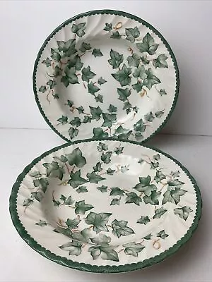 Buy BHS Country Vine 2 X Rimmed Pasta / Soup Bowls Superb Condition 9” • 19.99£