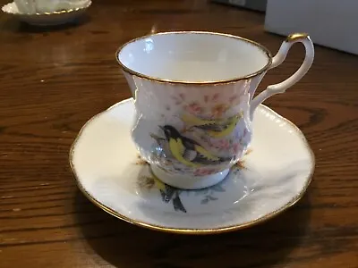 Buy Queen’s Birds Of America Series 1 Rosina Fine Bone China England Tea Cup Saucer • 11.51£