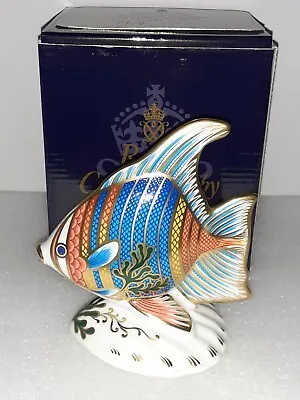 Buy Royal Crown Derby Paperweight ANGEL FISH Hugh Gibson Certificate & Box 243/2500 • 87.50£