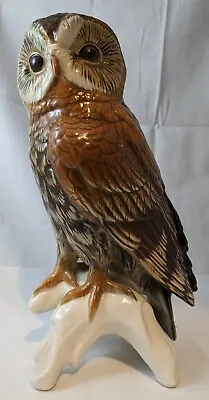 Buy Karl Ens Dresden Porcelain Large Owl Bird Figurine German • 64.99£