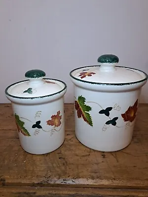 Buy Poole Pottery - Autumn Leaves - Large Lidded Storage Jar Jar Utensil Pot • 14£