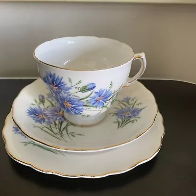 Buy Tea Cup, Saucer & Side Plate Royal Vale England Bone China Blue Cornflowers • 9.99£