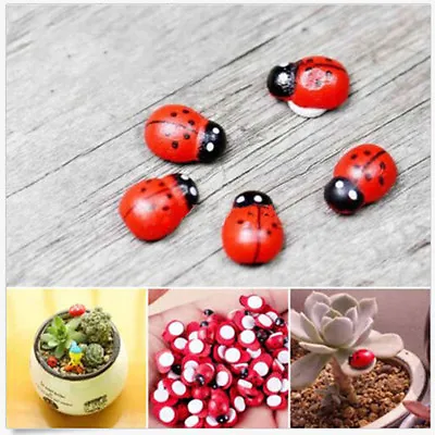 Buy 20X Mini Ladybug   Garden Ornaments Scenery Craft For Plant Fairy Decor HGJ:da • 3.10£