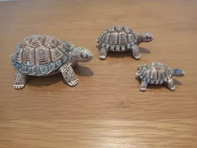 Buy Vintage Wade Family Trio Of Tortoise Figurines • 45£