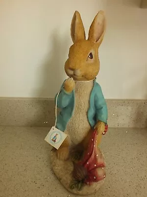 Buy Beatrix Potter Peter Rabbit (BNIB) • 39.99£