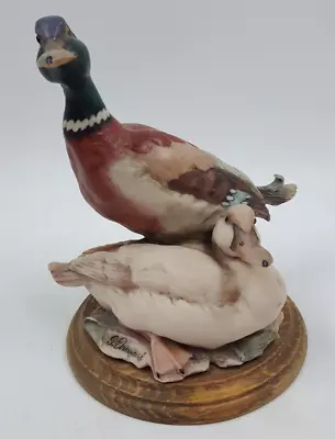 Buy Capodimonte Giuseppe Armini Mallard Duck Mounted Porcelain Figurine Ornament • 24.99£