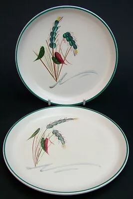 Buy TWO Denby Circa 1970's Greenwheat Pattern Dinner Plates 25.5cm - Look In VGC • 12.50£
