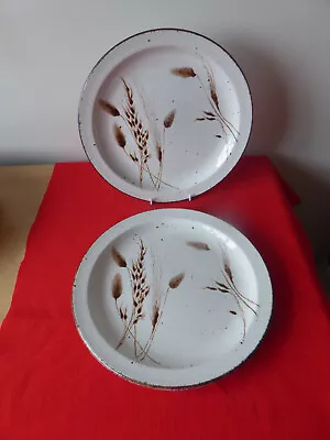 Buy 2  X Midwinter ~ England ~ Wild Oats   ~ 10 1/2    Dinner  Plates ~ Excellent • 20£