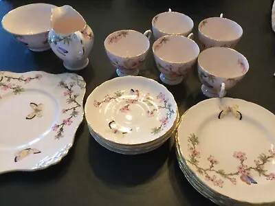 Buy TUSCAN PINK FINE ENGLISH BONE CHINA Tea Set X 6 Butterfly And Cherry Blossom • 70£
