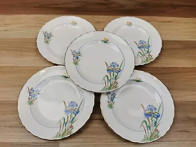 Buy 5 X Tuscan Blue Iris Fine Bone China  7  Side /Tea Plates • 18.99£