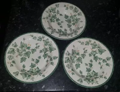 Buy Three X BHS Country Vine Rimmed Soup Bowls - 9 Inches - Backstamped • 32£