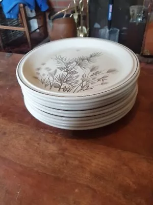 Buy 10 Vintage Grindley Pinewood Dinner Plates 10 /25cm Excellent Condition  • 19.99£
