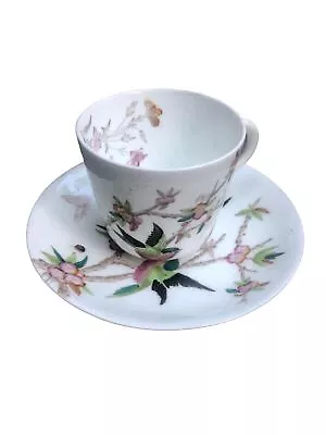 Buy Antique W.A.A. William A Adderley Bone China Cup And Saucer  THORN • 89.89£