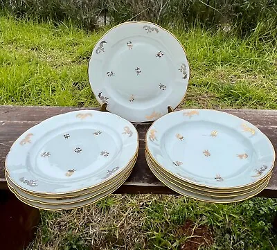 Buy 8 Piece Antique Limoges French Dinner Set In White Porcelain And Gold Decoration • 95.55£