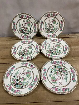 Buy Maddock Pottery Royal Vitreous Indian Tree 6x 9  Dinner Plates Art Deco Vintage • 35£